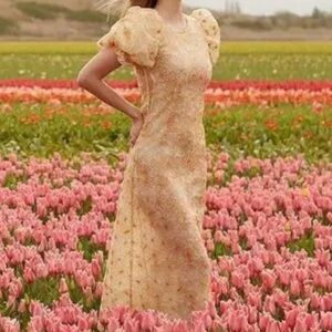 Sister Jane Dream Garden Sequin Floral Midi Dress Size Small NWT Apricot Yellow
